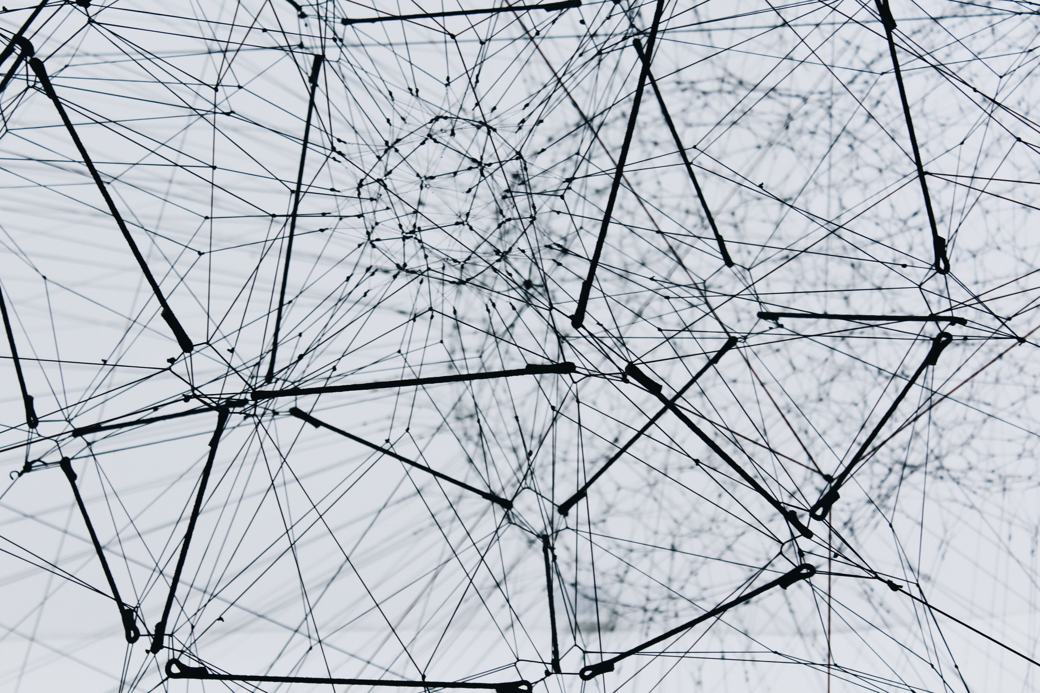 a group of connected cables forming a network